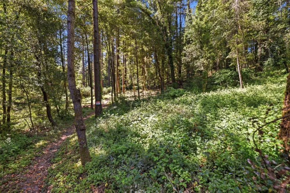 Garfield Way Felton, CA 95018