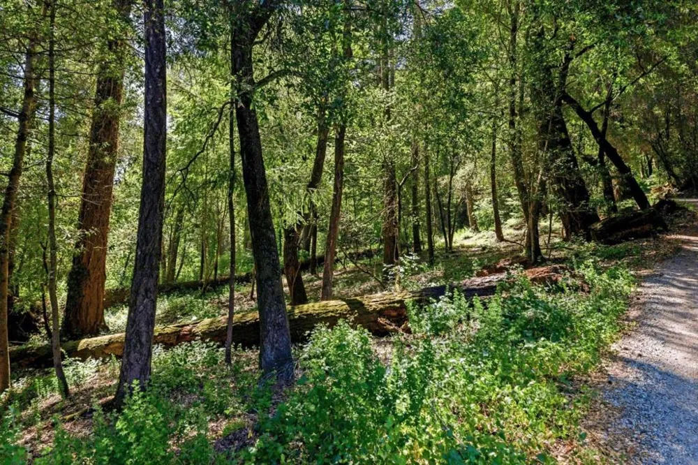 Garfield Way Felton, CA 95018