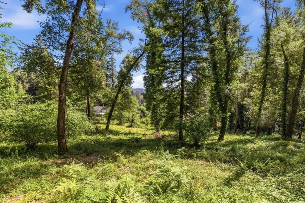 Garfield Way Felton, CA 95018