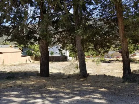 4232 Willow