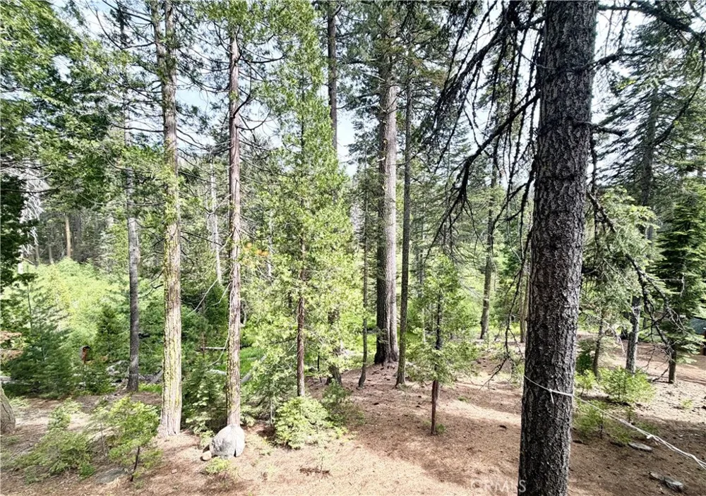 9502 Humboldt Rd Butte Meadows, CA 95942