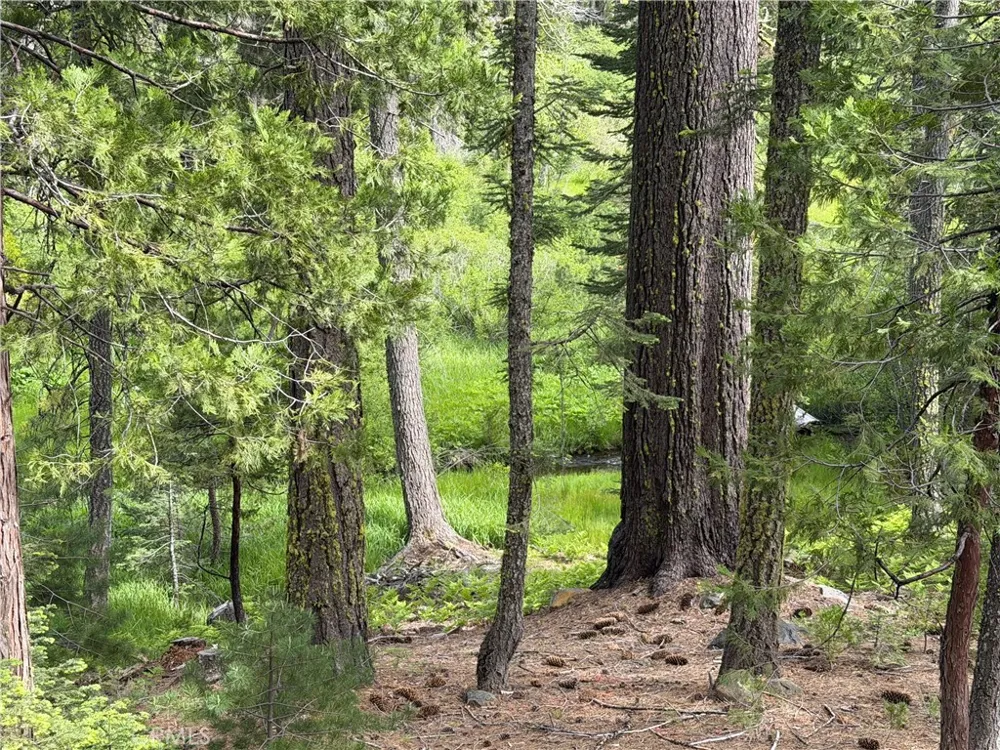 9502 Humboldt Rd Butte Meadows, CA 95942