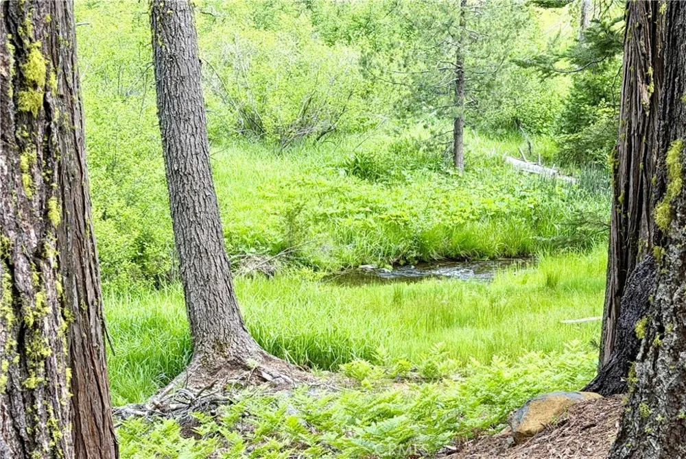 9502 Humboldt Rd Butte Meadows, CA 95942