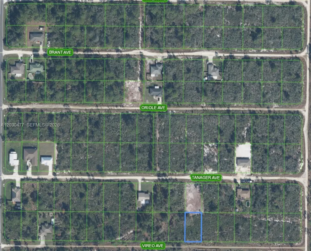 227 Vireo Ave Sebring, FL 33870