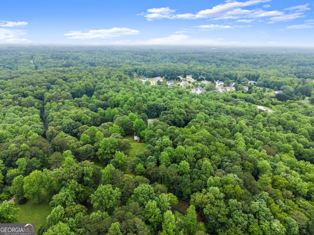 802 Old Mill TRL Ball Ground, GA 30107