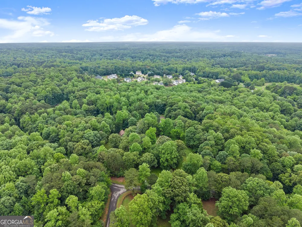 802 Old Mill TRL Ball Ground, GA 30107