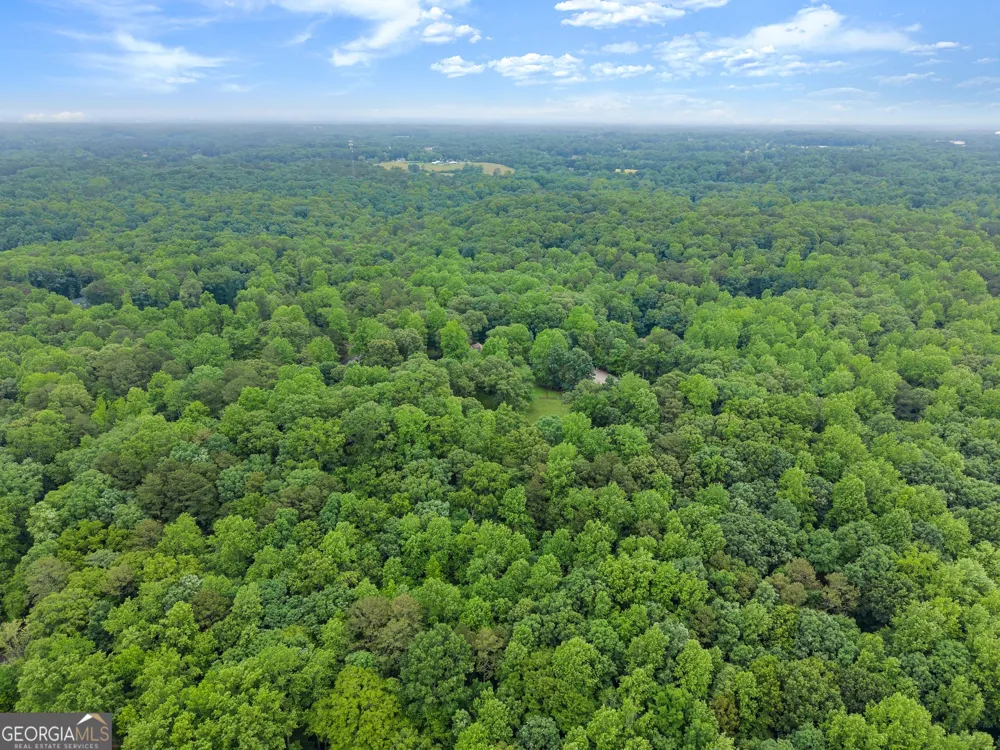 802 Old Mill TRL Ball Ground, GA 30107