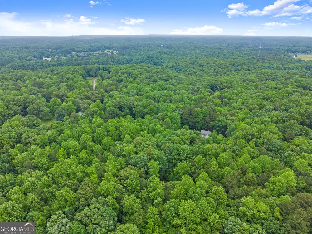 802 Old Mill TRL Ball Ground, GA 30107