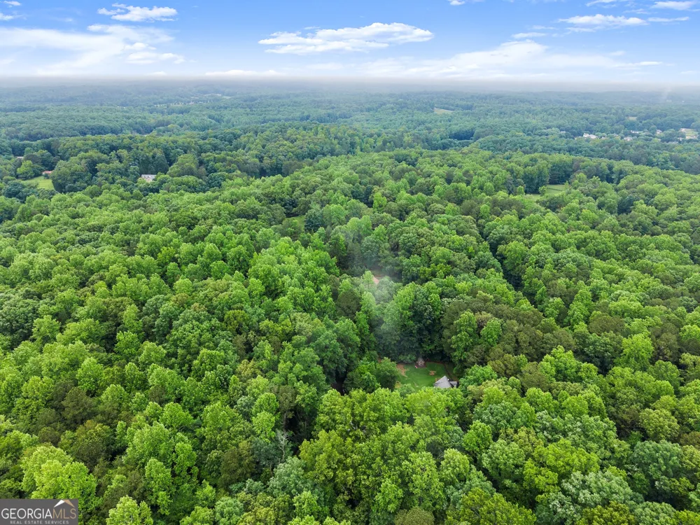 802 Old Mill TRL Ball Ground, GA 30107