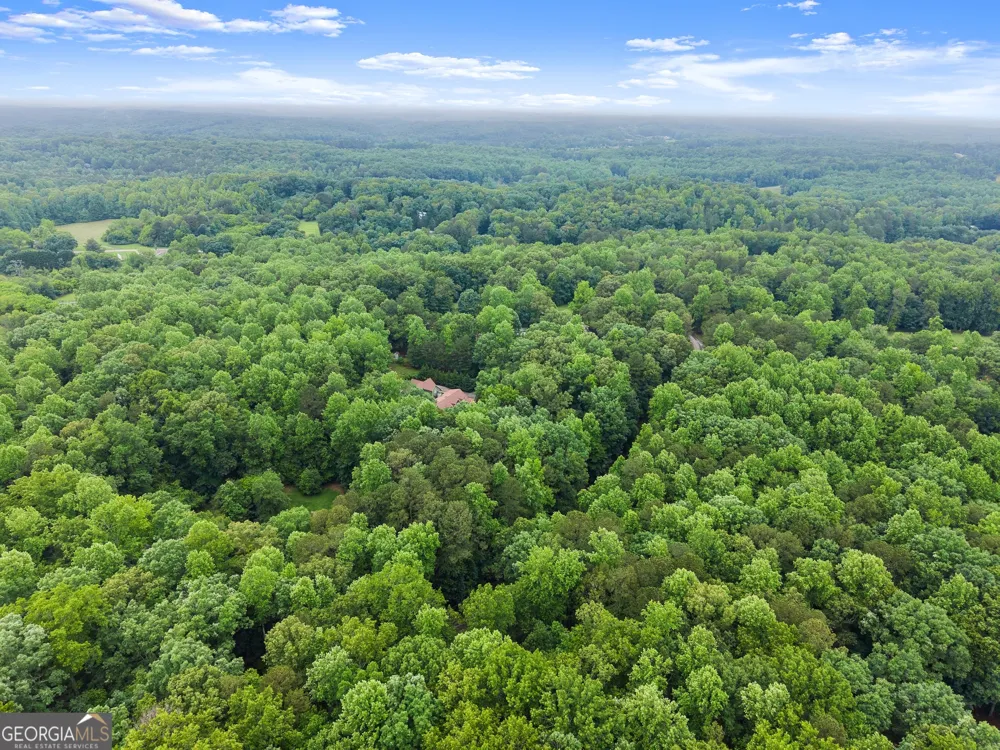 802 Old Mill TRL Ball Ground, GA 30107