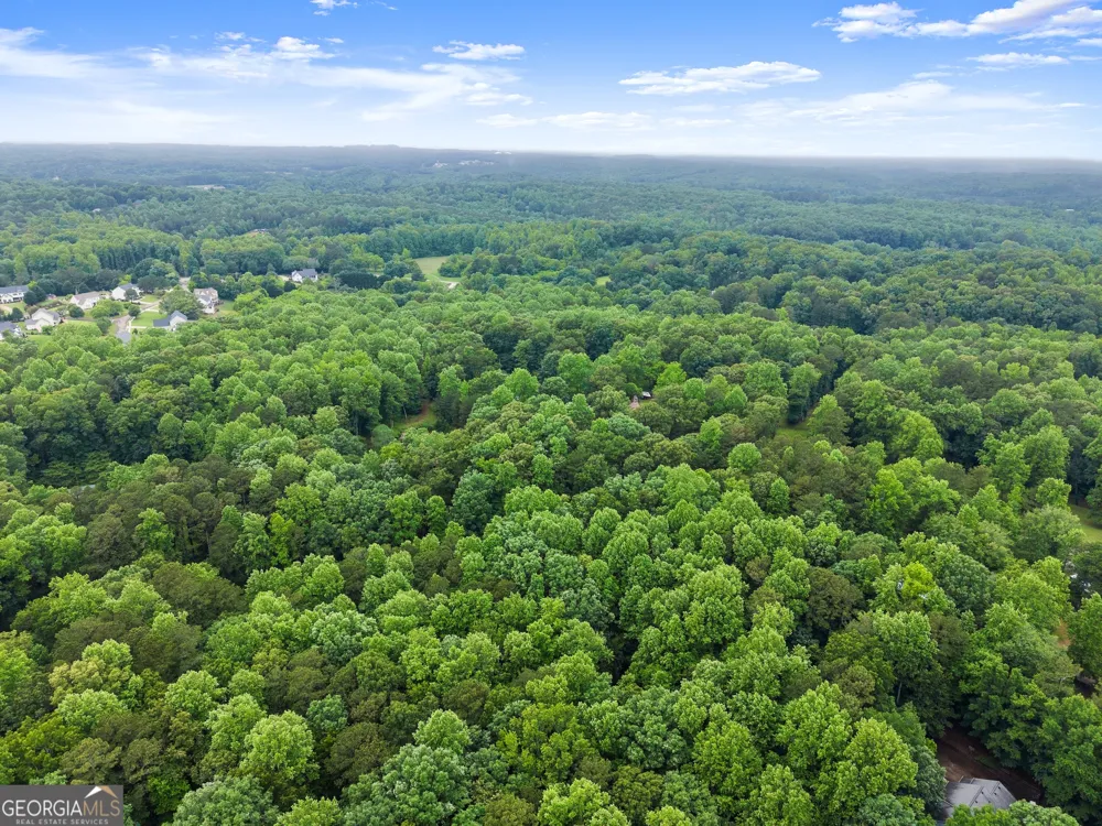 802 Old Mill TRL Ball Ground, GA 30107