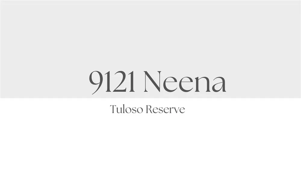 9121 Neena Drive Corpus Christi, TX 78410
