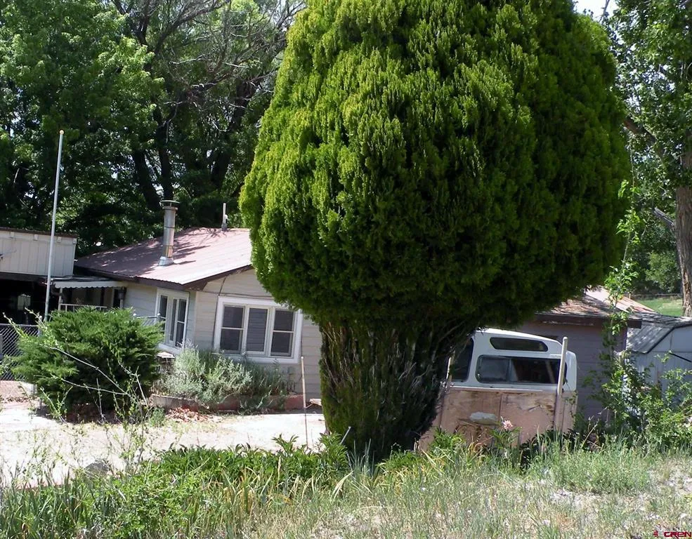 334 Fox Street Nucla, CO 81424