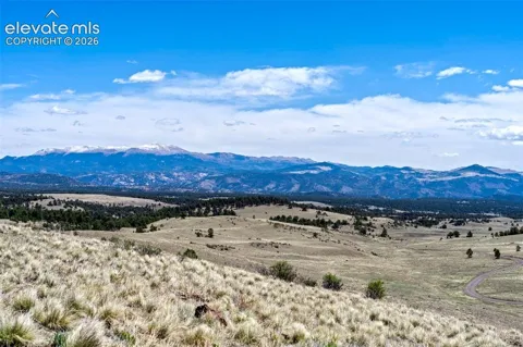 00 Roan Trail