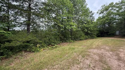 Hummingbird Hill