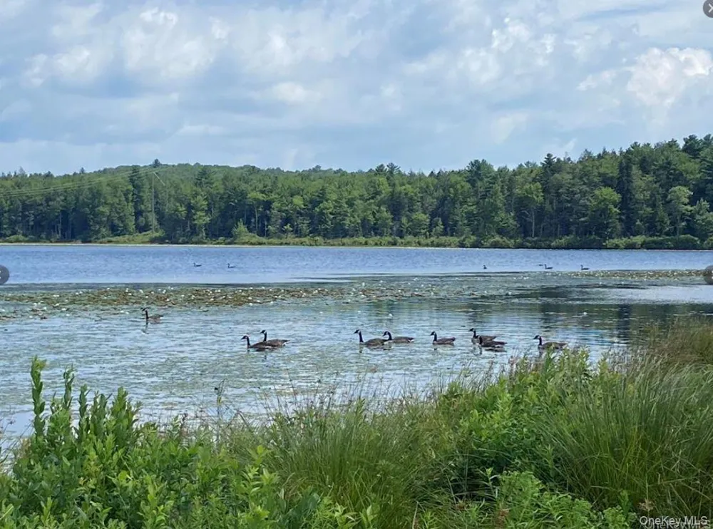 15 Bailey Lake Road ##-1 Kiamesha Lake, NY 12751