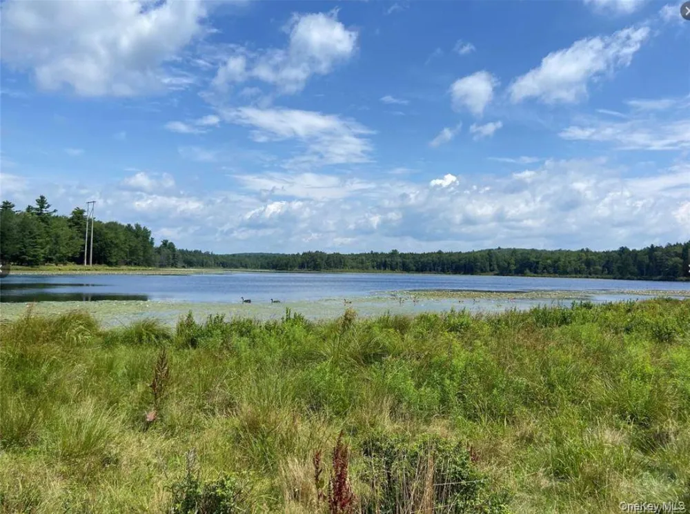 15 Bailey Lake Road ##-1 Kiamesha Lake, NY 12751