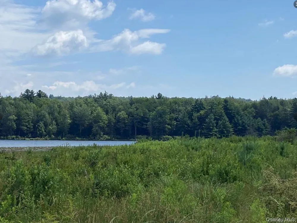 15 Bailey Lake Road ##-1 Kiamesha Lake, NY 12751