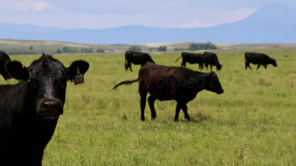 48999 County Road 48 Other - Not in list, CO 81059