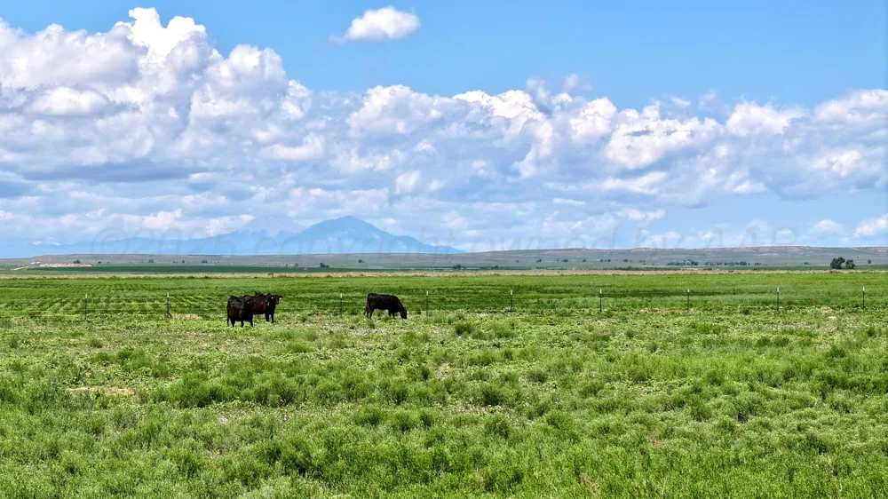 48999 County Road 48 Other - Not in list, CO 81059