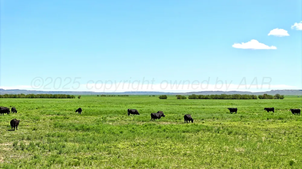48999 County Road 48 Other - Not in list, CO 81059