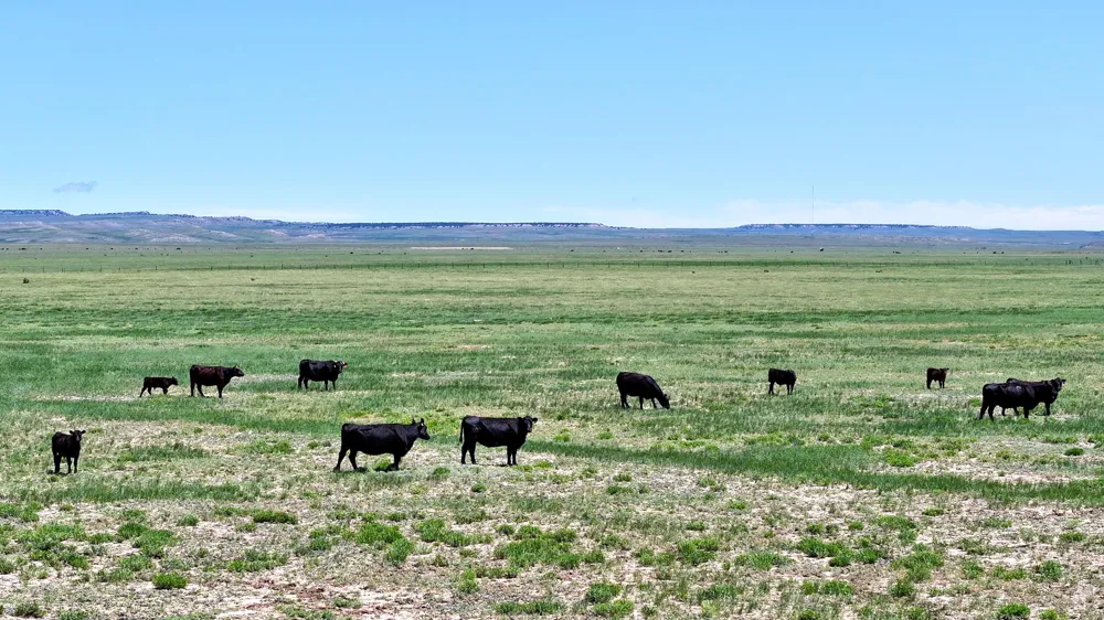 48999 County Road 48 Other - Not in list, CO 81059