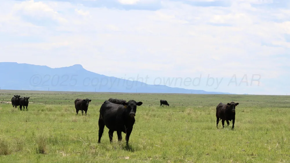 48999 County Road 48 Other - Not in list, CO 81059