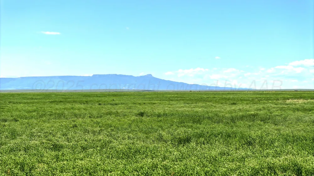 48999 County Road 48 Other - Not in list, CO 81059