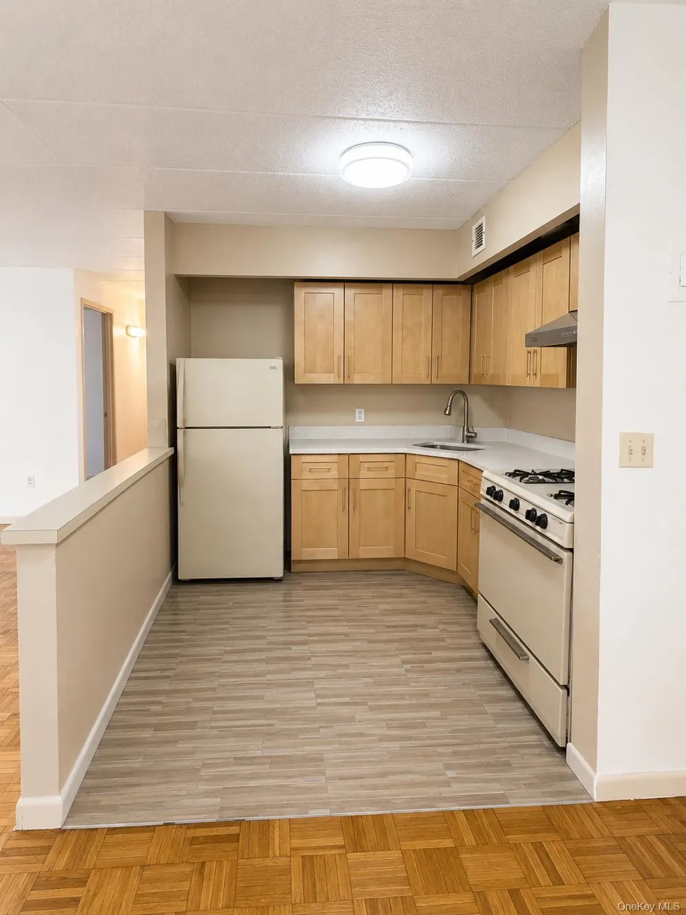 134-46 Maple Avenue #5B Flushing, NY 11355