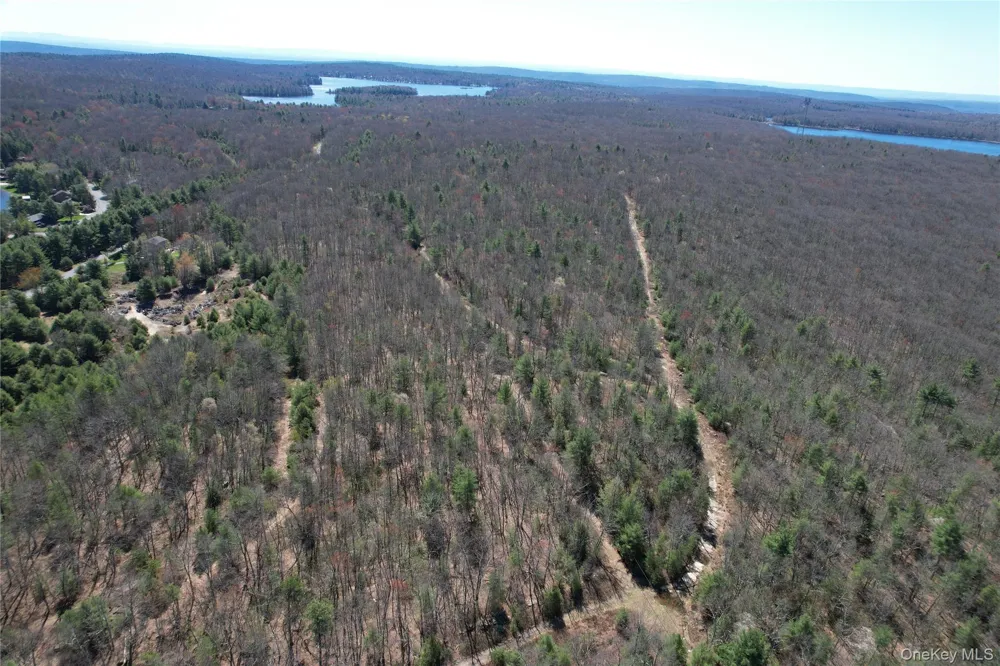 Old Sackett Road Rock Hill, NY 12775