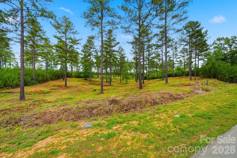 1776 Cove Side Drive Granite Falls, NC 28630