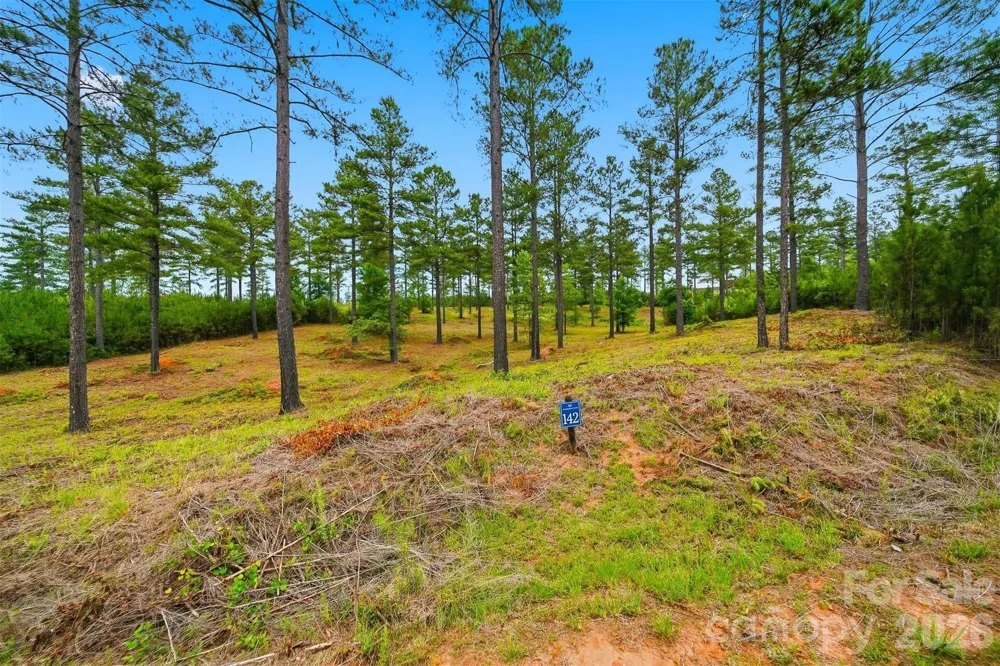 1776 Cove Side Drive Granite Falls, NC 28630