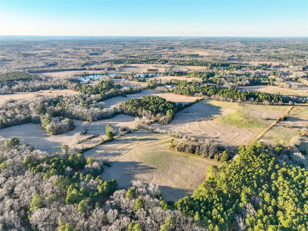 County Road 453 Henderson, TX 75654