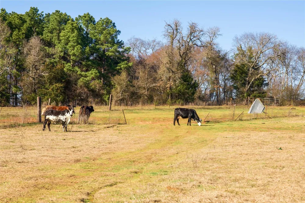 County Road 453 Henderson, TX 75654