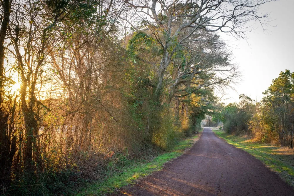 County Road 453 Henderson, TX 75654