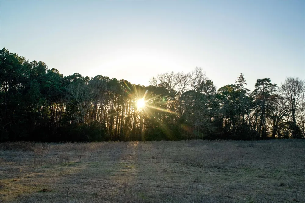 County Road 453 Henderson, TX 75654