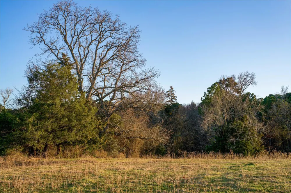 County Road 453 Henderson, TX 75654