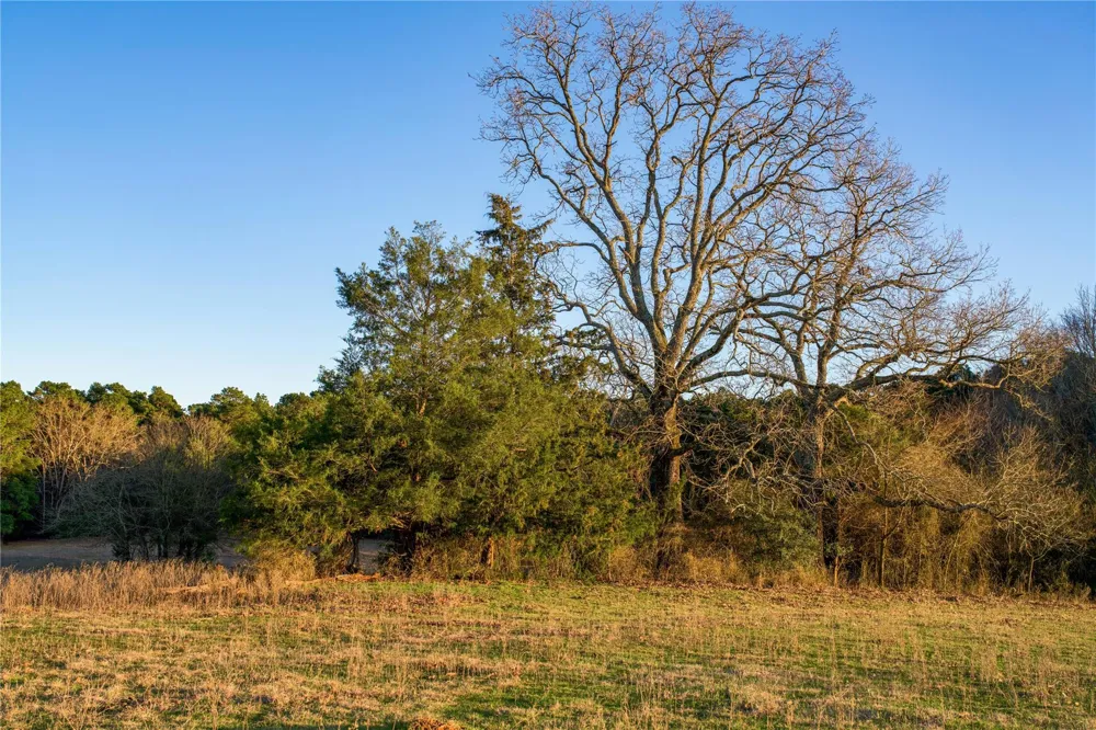 County Road 453 Henderson, TX 75654
