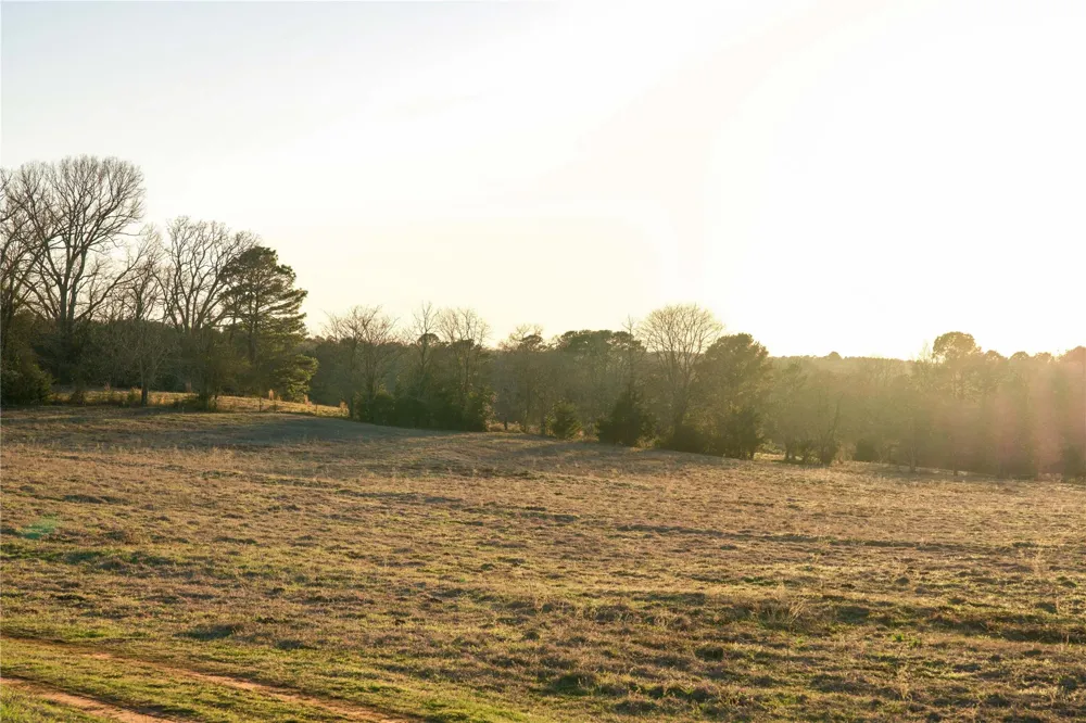 County Road 453 Henderson, TX 75654