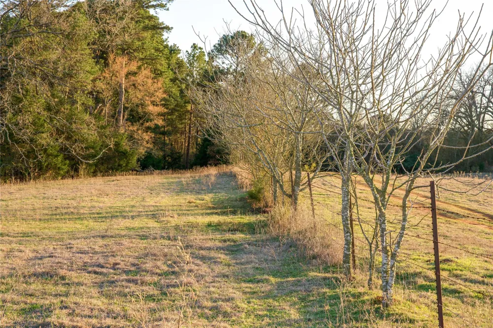 County Road 453 Henderson, TX 75654