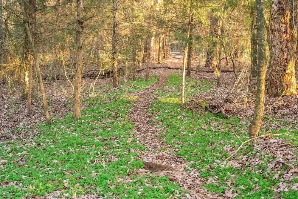 County Road 453 Henderson, TX 75654