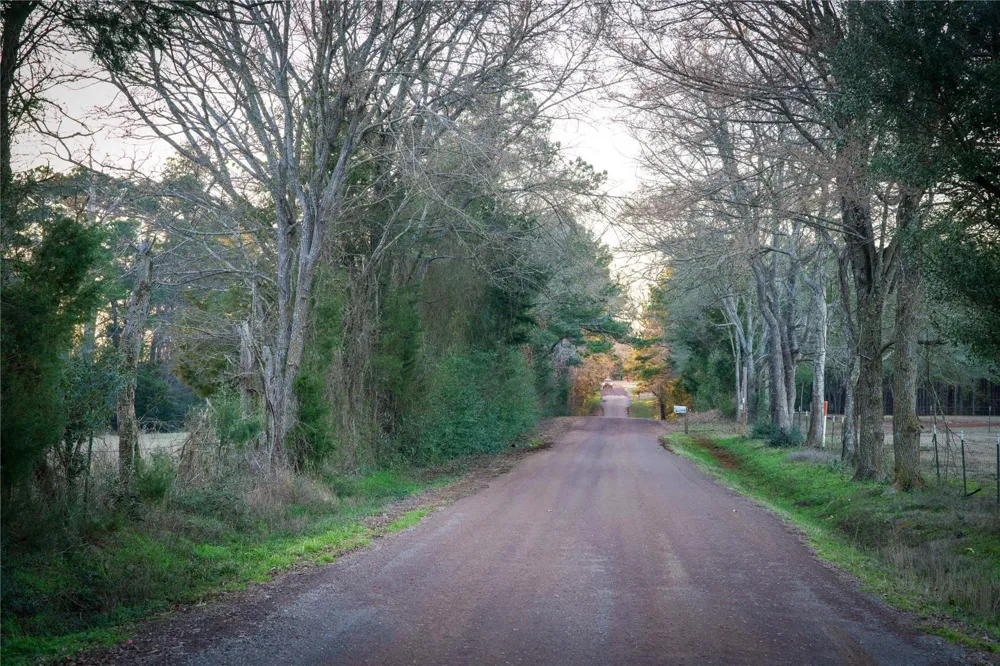 County Road 453 Henderson, TX 75654