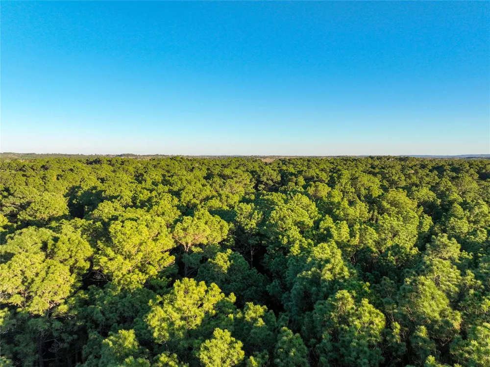 County Road 453 Henderson, TX 75654