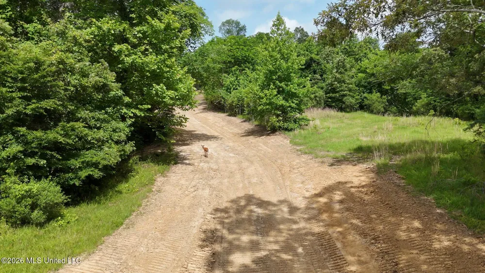 0 Dogwood Road Vicksburg, MS 39180
