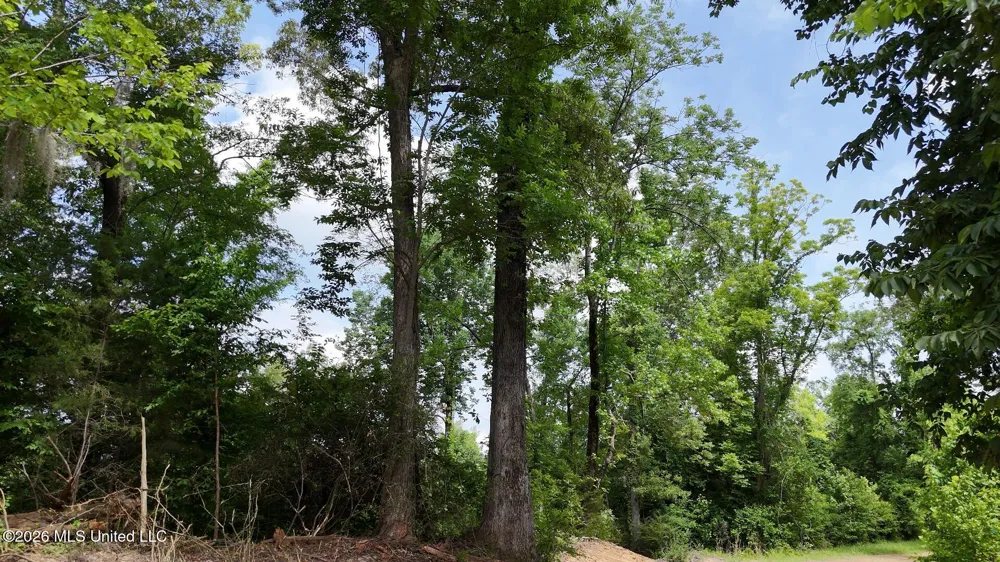 0 Dogwood Road Vicksburg, MS 39180