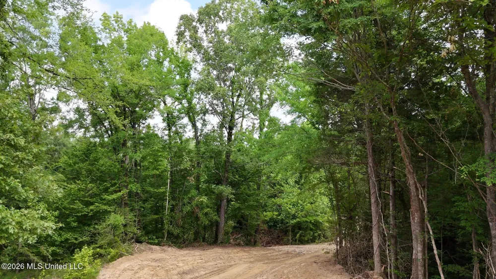 0 Dogwood Road Vicksburg, MS 39180