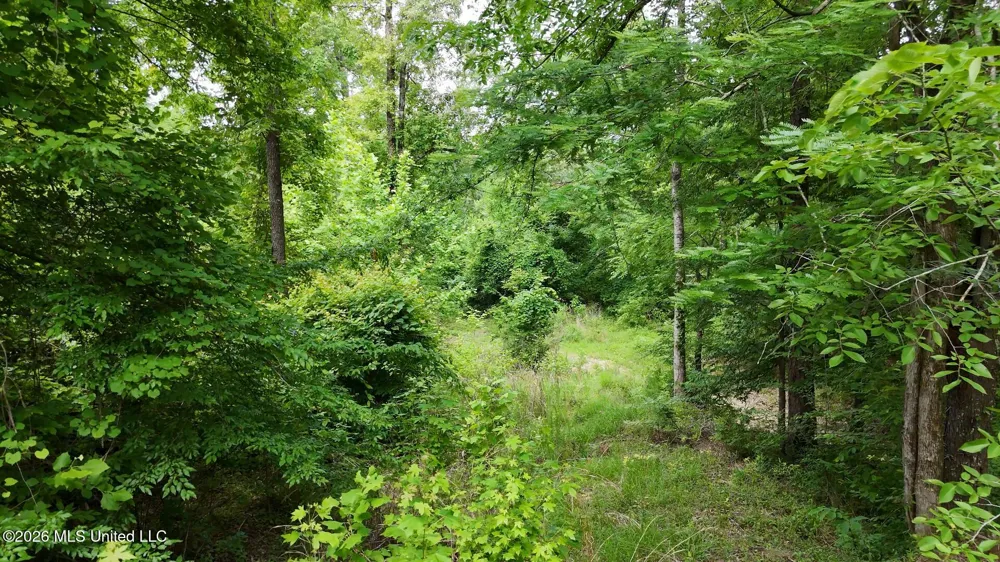 0 Dogwood Road Vicksburg, MS 39180