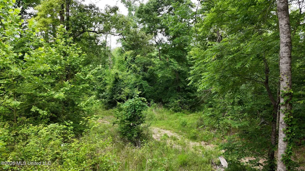 0 Dogwood Road Vicksburg, MS 39180