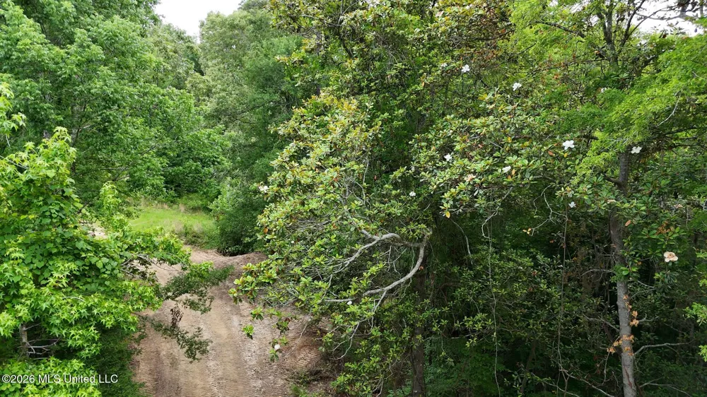 0 Dogwood Road Vicksburg, MS 39180
