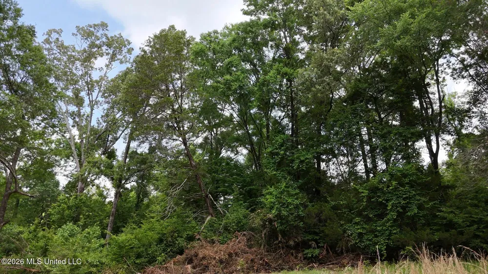 0 Dogwood Road Vicksburg, MS 39180